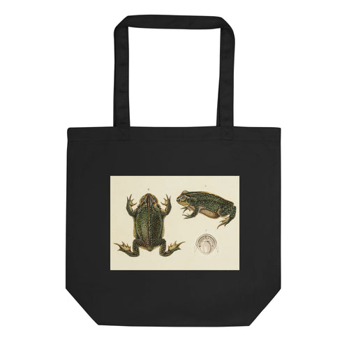 Frog Life Cycle by d'Orbigny Eco Tote Bag