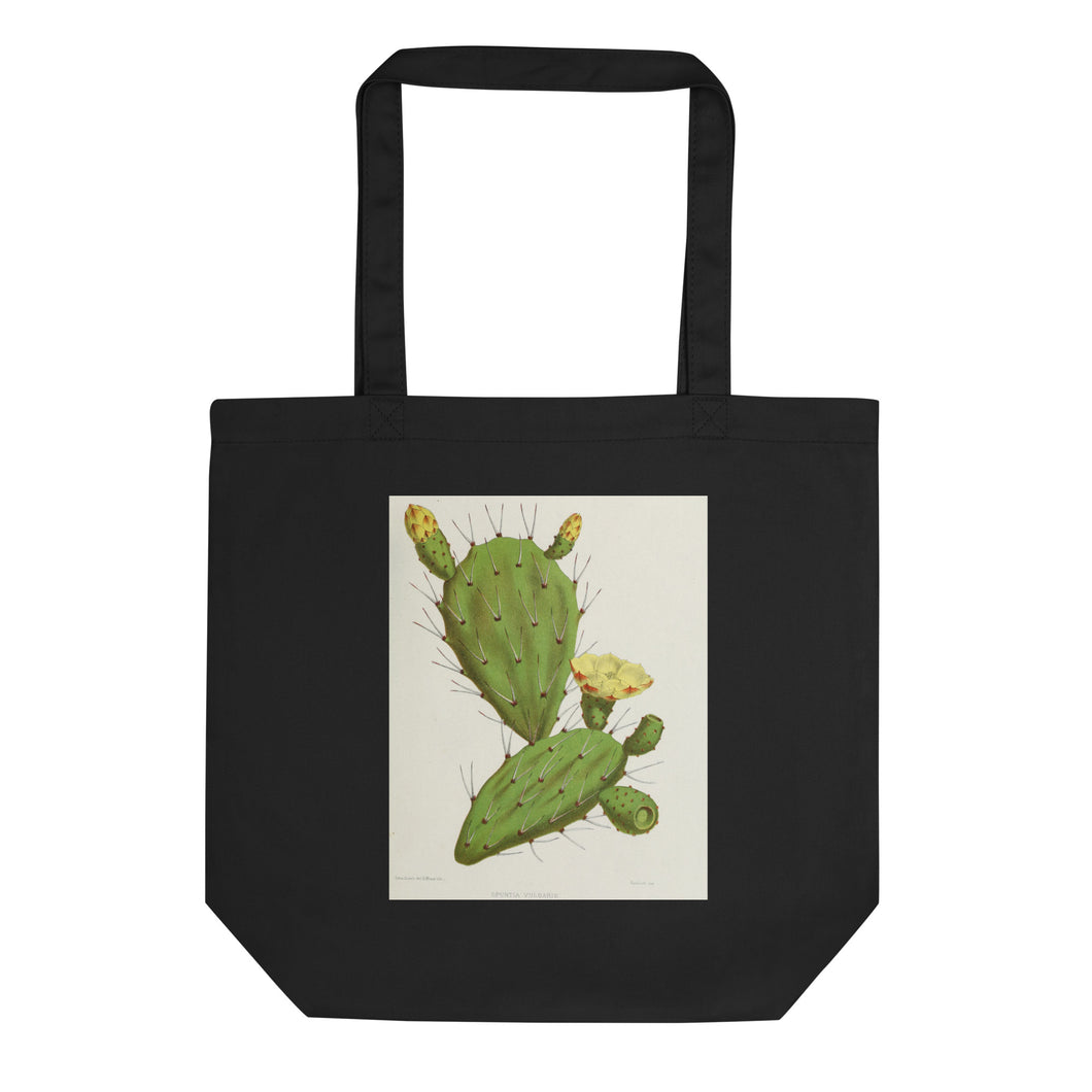 Cactus Naturalist Eco Tote Bag