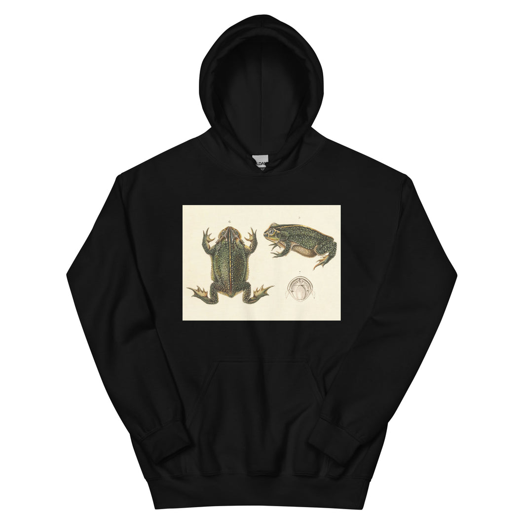 Frog Life Cycle by d'Orbigny Hoodie