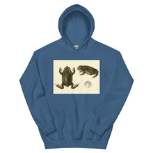 Load image into Gallery viewer, Frog Life Cycle by d&#39;Orbigny Hoodie