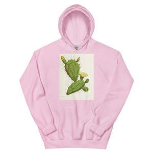 Cactus Naturalist  Hoodie