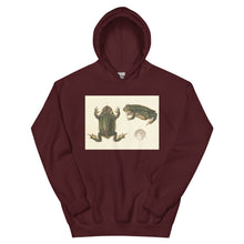 Load image into Gallery viewer, Frog Life Cycle by d&#39;Orbigny Hoodie