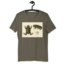 Load image into Gallery viewer, Frog Life Cycle by d&#39;Orbigny T-shirt