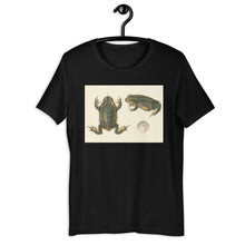 Load image into Gallery viewer, Frog Life Cycle by d&#39;Orbigny T-shirt