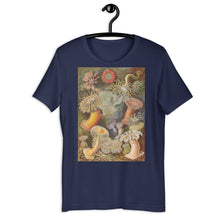 Load image into Gallery viewer, Sea Anemones by Haeckel T-shirt