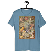 Load image into Gallery viewer, Sea Anemones by Haeckel T-shirt