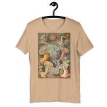 Load image into Gallery viewer, Sea Anemones by Haeckel T-shirt