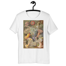 Load image into Gallery viewer, Sea Anemones by Haeckel T-shirt