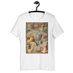 Sea Anemones by Haeckel T-shirt